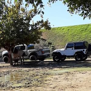 Meet your Posher, Angel ariel